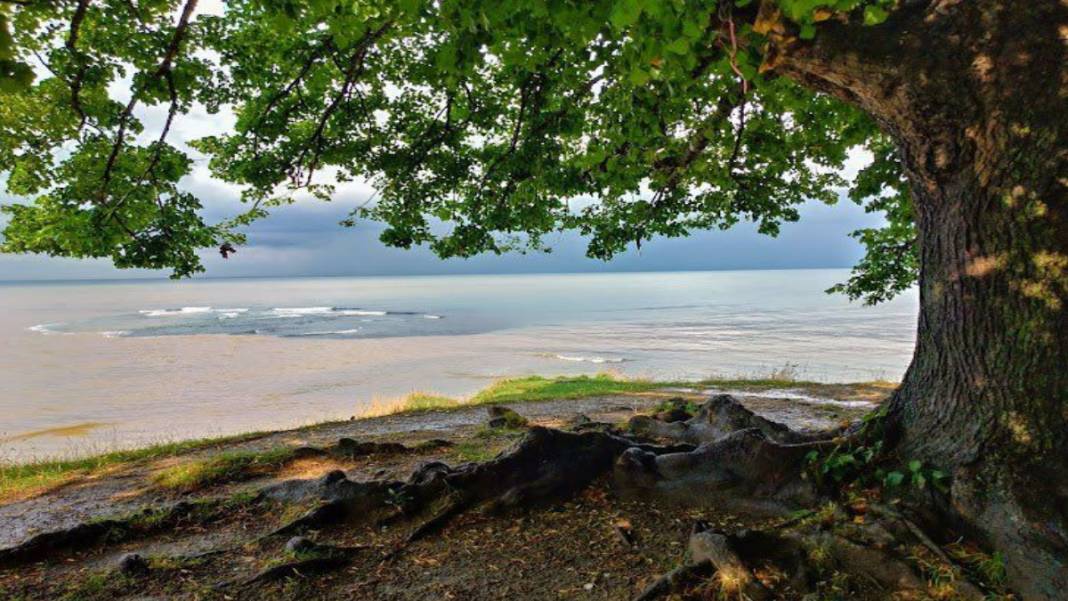 Burası Akdeniz veya Ege değil Karadeniz! Bembeyaz kumuyla sizleri bekliyor: Türkiye'nin en sakin yeri 1